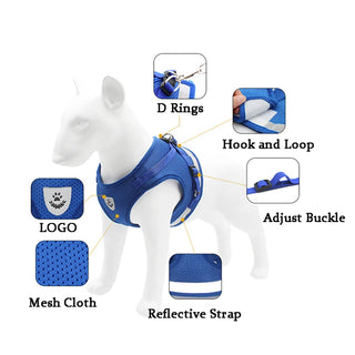 Harness and Leash Set Small Dogs