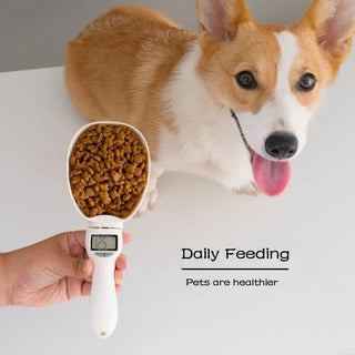 Electronic Measuring Spoon Dog Food