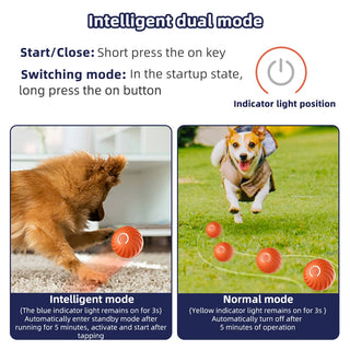 Smart Ball Electronic Interactive Dog Toy