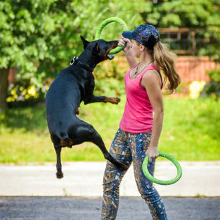 Flying Disc For Dog