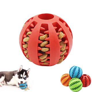 Interactive Elasticity Puppy Chew Toy