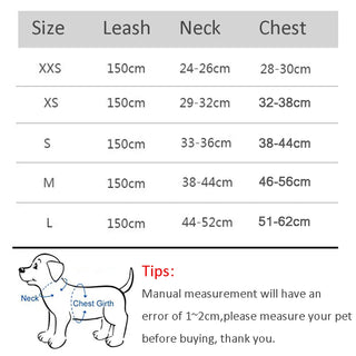 Dog Harness Leash Set