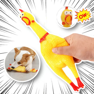 Screaming Chicken Chew Toy For Dog