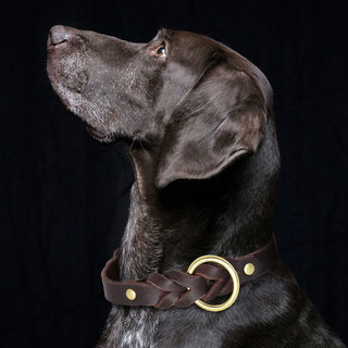 Genuine Leather Dog Collar Leash Set