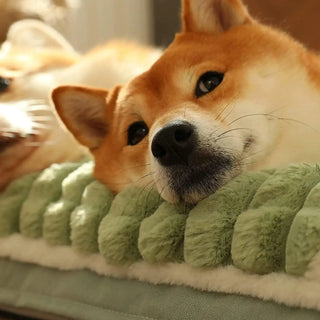 Warm Dog Mat