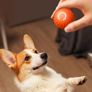 Juguete interactivo electrónico para perros Smart Ball