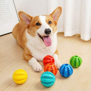 Interactive Elasticity Puppy Chew Toy